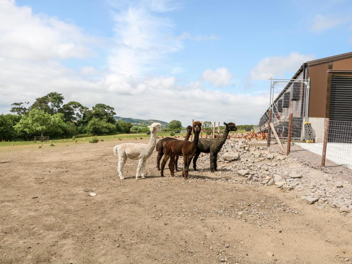 Glebe Farm Cottage Newry Esterno foto